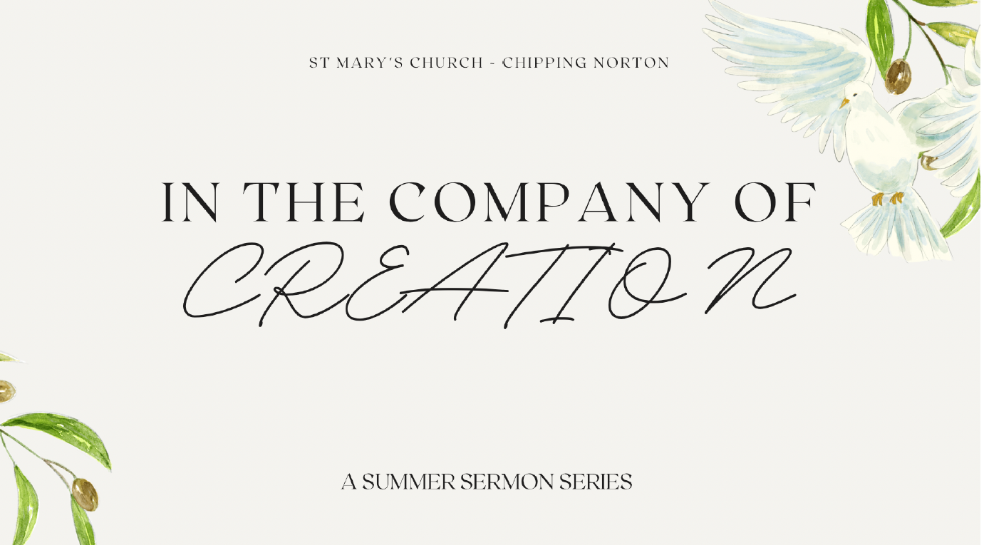 St. Mary's - In the Company of Creation - Dove with olive branches